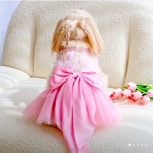 Elegant Pink Pet Dress